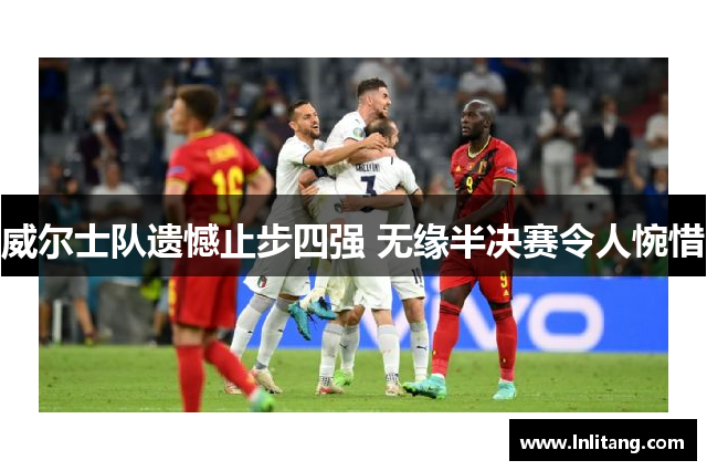 威尔士队遗憾止步四强 无缘半决赛令人惋惜