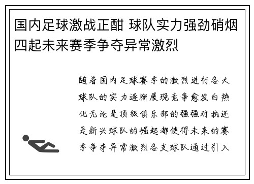 国内足球激战正酣 球队实力强劲硝烟四起未来赛季争夺异常激烈